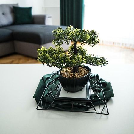 Tania Apartament Oradea Bagian luar foto